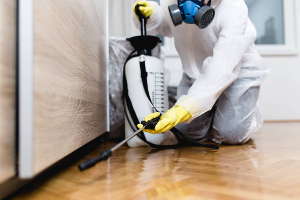 Best Ant Control Services  in New Orleans Station, LA