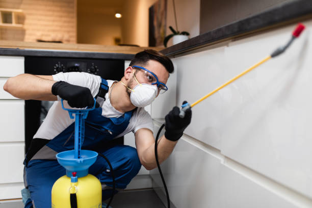 Best Pest Control Near Me in New Orleans Station, LA