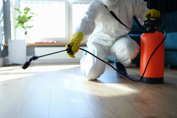 Best Flea Control Services  in New Orleans Station, LA