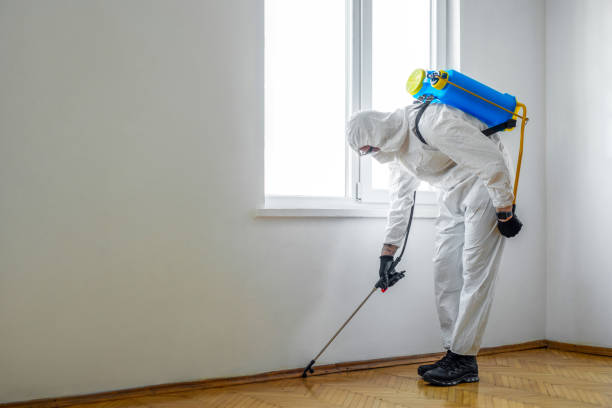 Best Best Pest Control Companies  in New Orleans Station, LA
