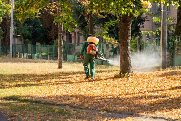 Best Bed Bug Extermination  in New Orleans Station, LA