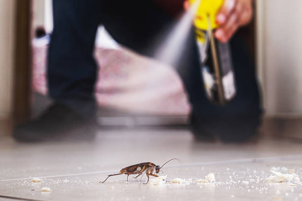 Best Best Pest Control Companies  in New Orleans Station, LA